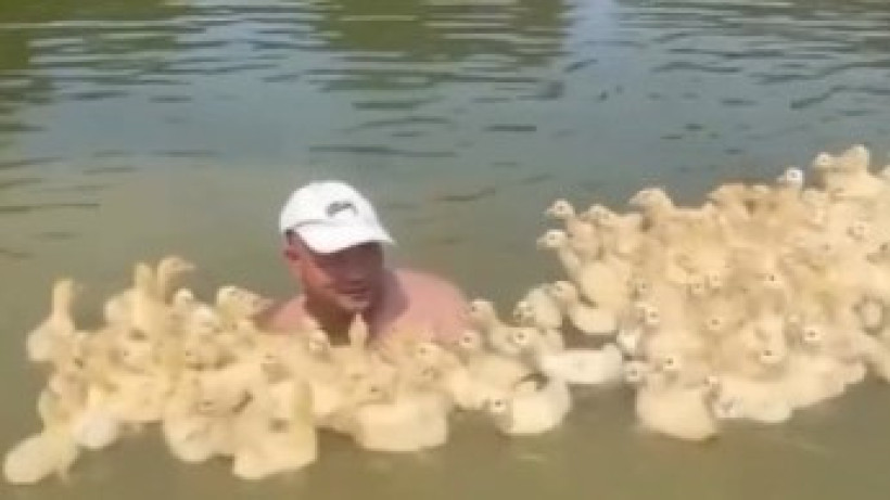  Кадр из видео 