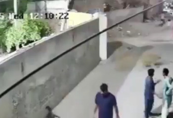 Пәкістанда арыстан көшедегі әйел мен балаларға шабуыл жасады