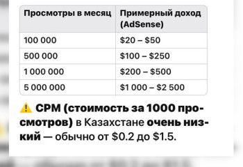 Казахстанский журналист рассказал можно ли заработать на Youtube