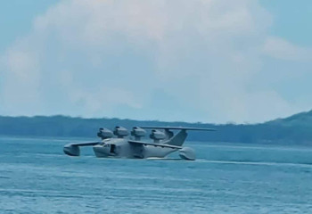 Монстра засняли на воде в Китае