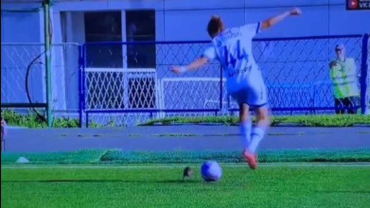  Кадр из видео 