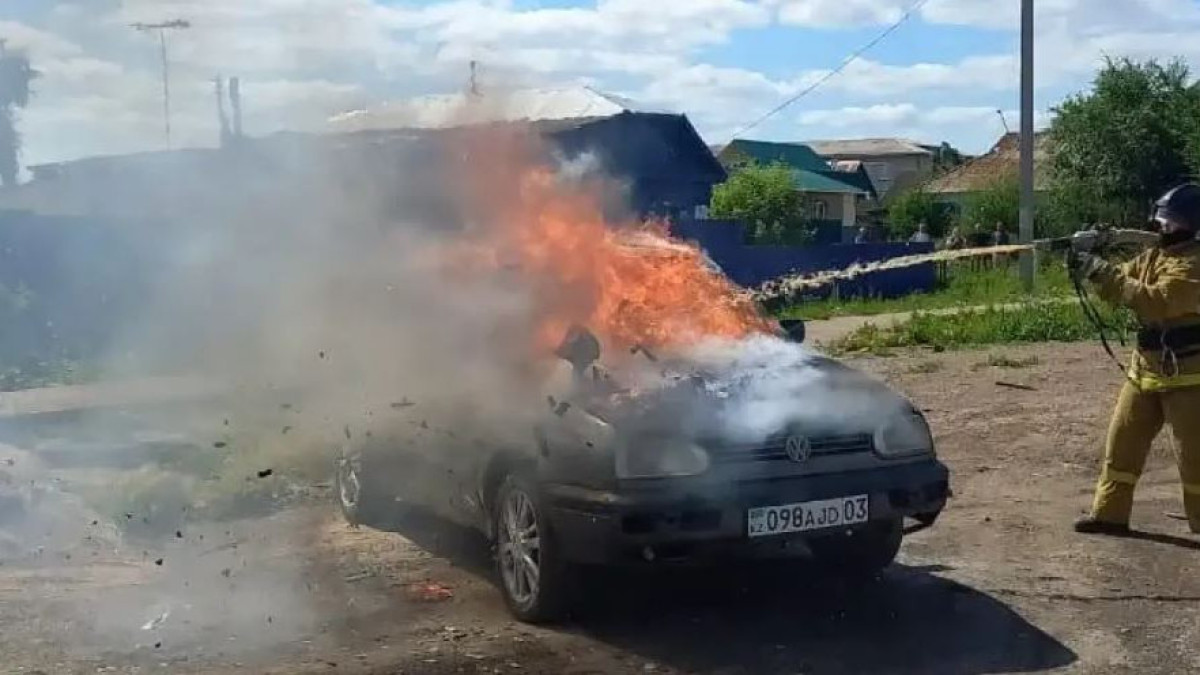  видеодан кадр 