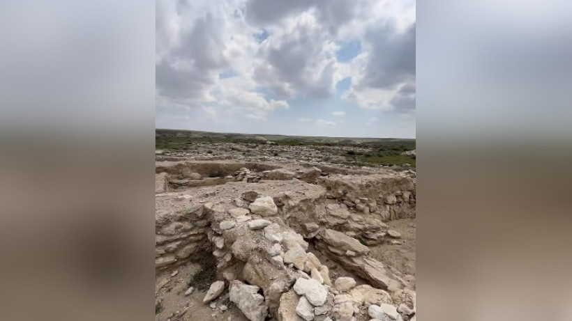  скриншот видео 