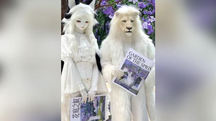  Кадр из видео 