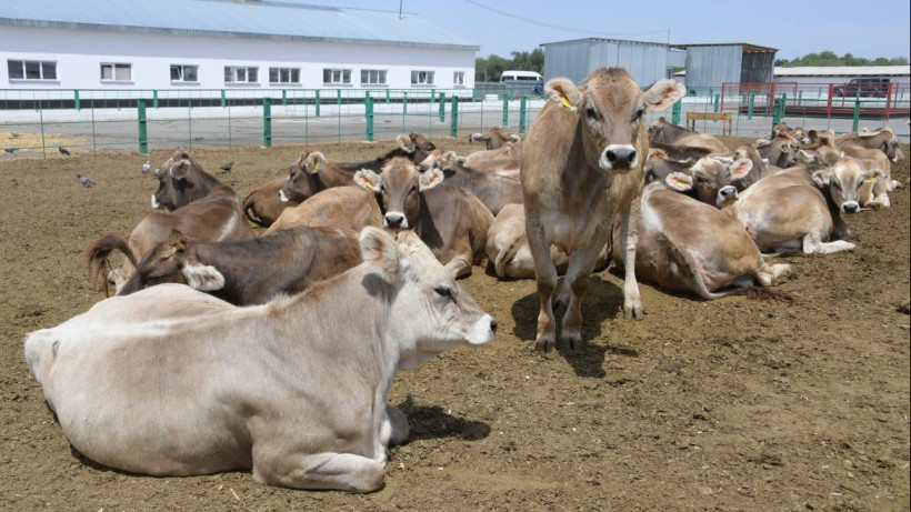  Жетісу облысының әкімдігі 