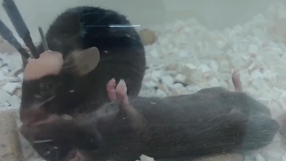  Кадр из видео 