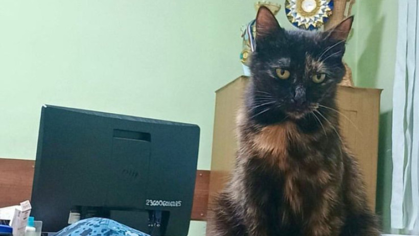  instagram.com/eastkazpolice 