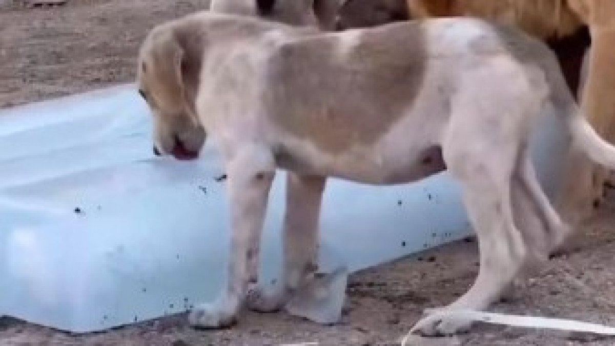  Кадр из видео 