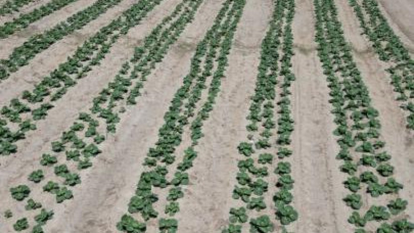  Атырау облыстық әкімдігі 