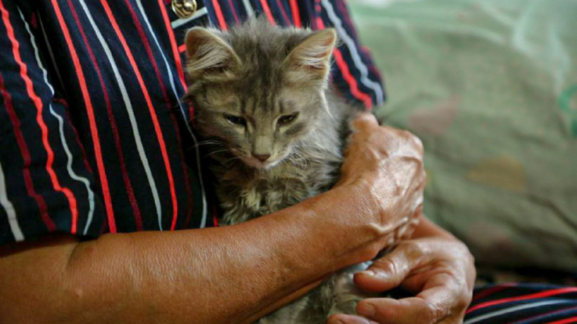  © El.kz / Артем ЧУРСИНОВ 