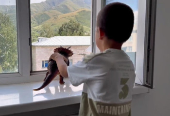 Қазақстанда балалардың терезеден құлау оқиғалары жиілеген