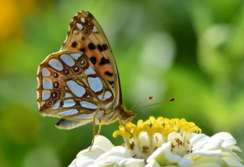 12 шілдеде ауа райы қандай болады