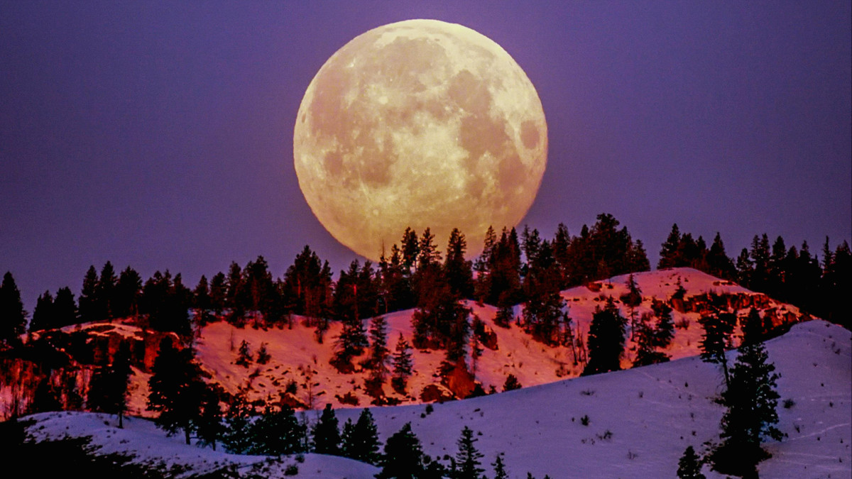  pexels.com 