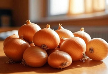 Необычный курс обмена в студенческом общежитии установил бывший студент