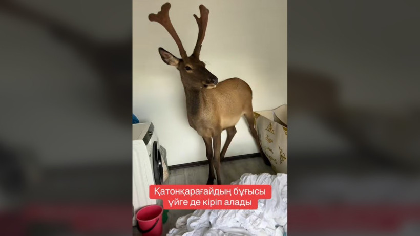  Кадр из видео 