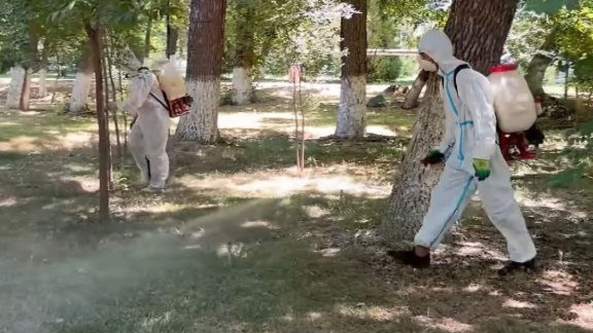  Видеодан кадр 