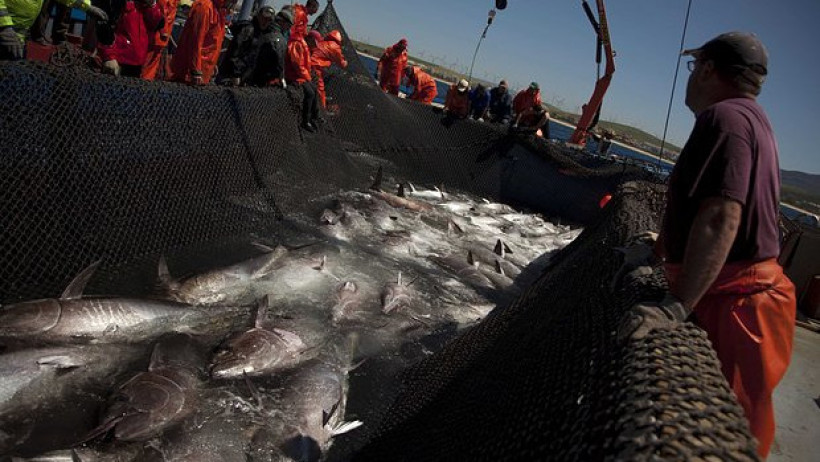  Emilio Morenatti / AP 