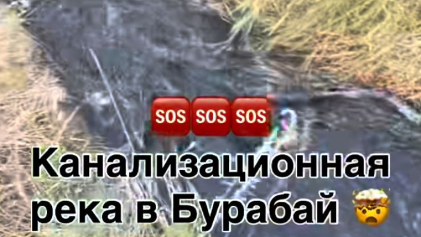  скриншот видео 