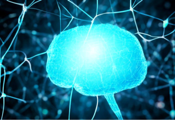 ChatGPT не работает: Пользователи в США сообщают об ошибке «необычная активность»