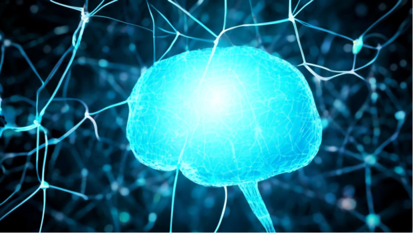  скриншот видео 