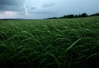 Штормовое предупреждение в Казахстане: погода 16 июля 2025 года