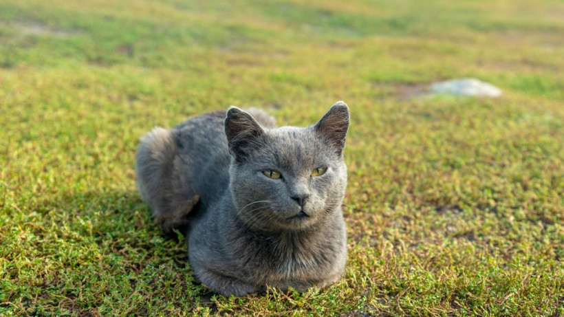  © El.kz / Артем ЧУРСИНОВ 