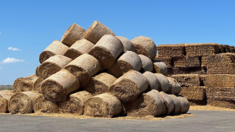  Ауыл шаруашылығы министрлігі 