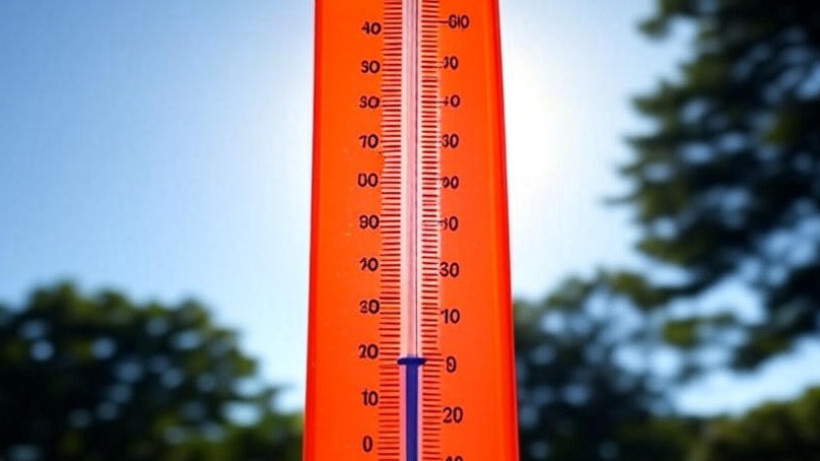  © El.kz / Grok / Динмухамед БЕЙСЕМБАЕВ 