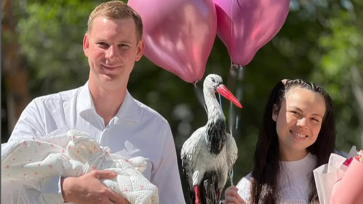  Видеодан кадр 