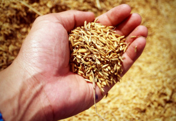 Өзбекстанда қосылған құн салығын 1%-ға дейін төмендету ұсынылды