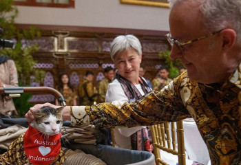 Миллиардерлерден сыйлық алып, арнайы күзетке ие болған мысық туралы не білеміз?