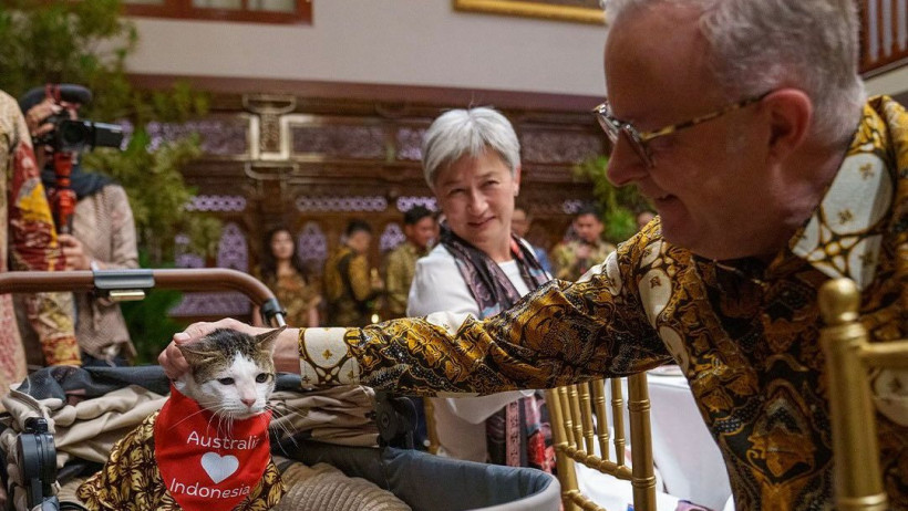  Фото: instagram.com/Bobby Kertanegara 