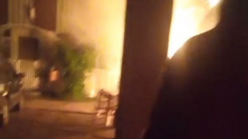  Видеодан кадр 