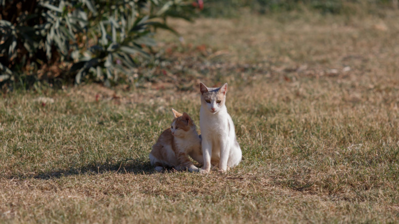  © El.kz / Артем ЧУРСИНОВ 