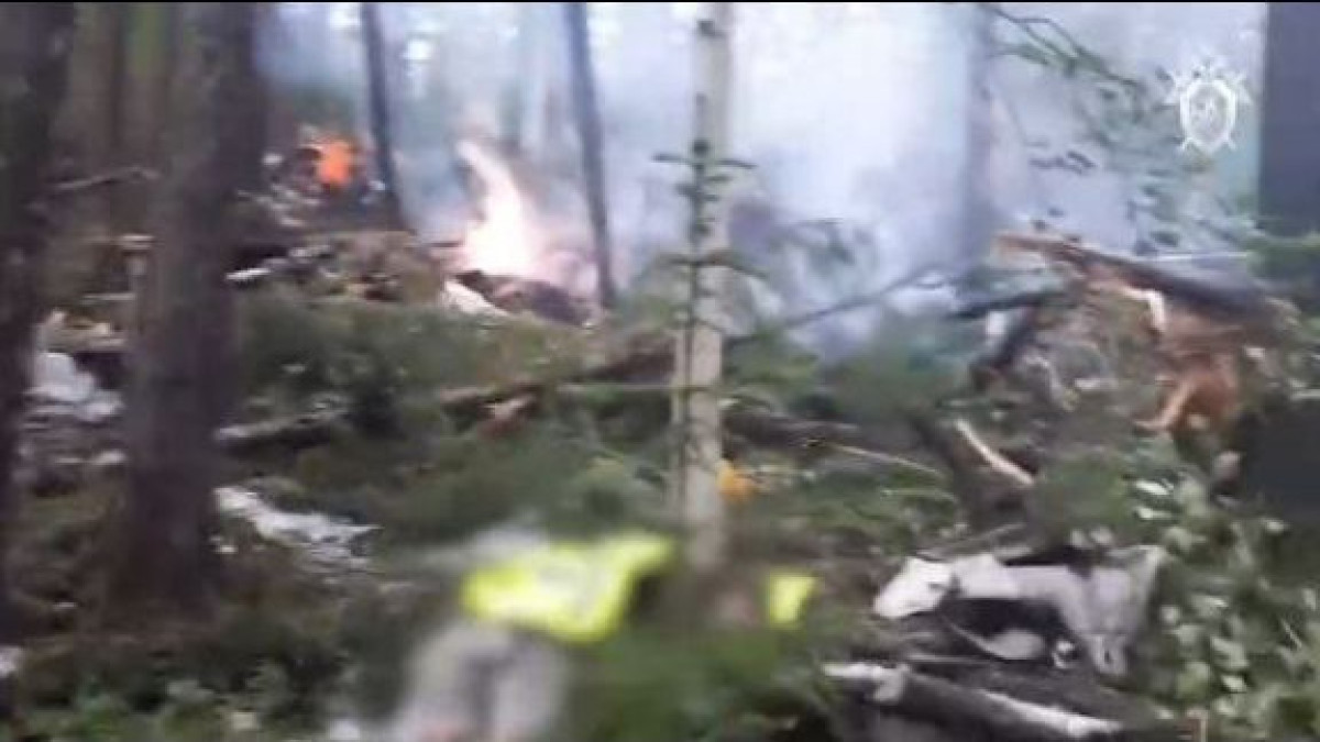  Видеодан кадр 