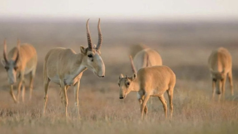  Ministry of Ecology and Natural Resources of the Republic of Kazakhstan 