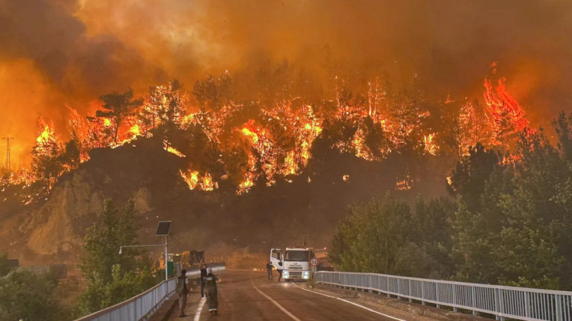  видеодан кадр 