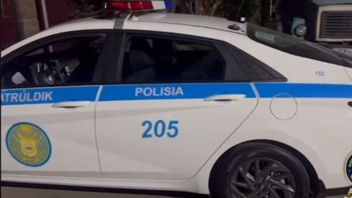  Видеодан кадр 