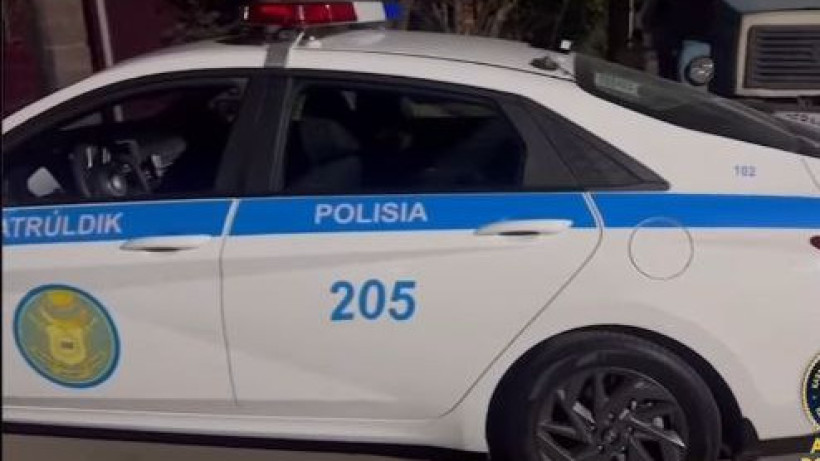  Видеодан кадр 