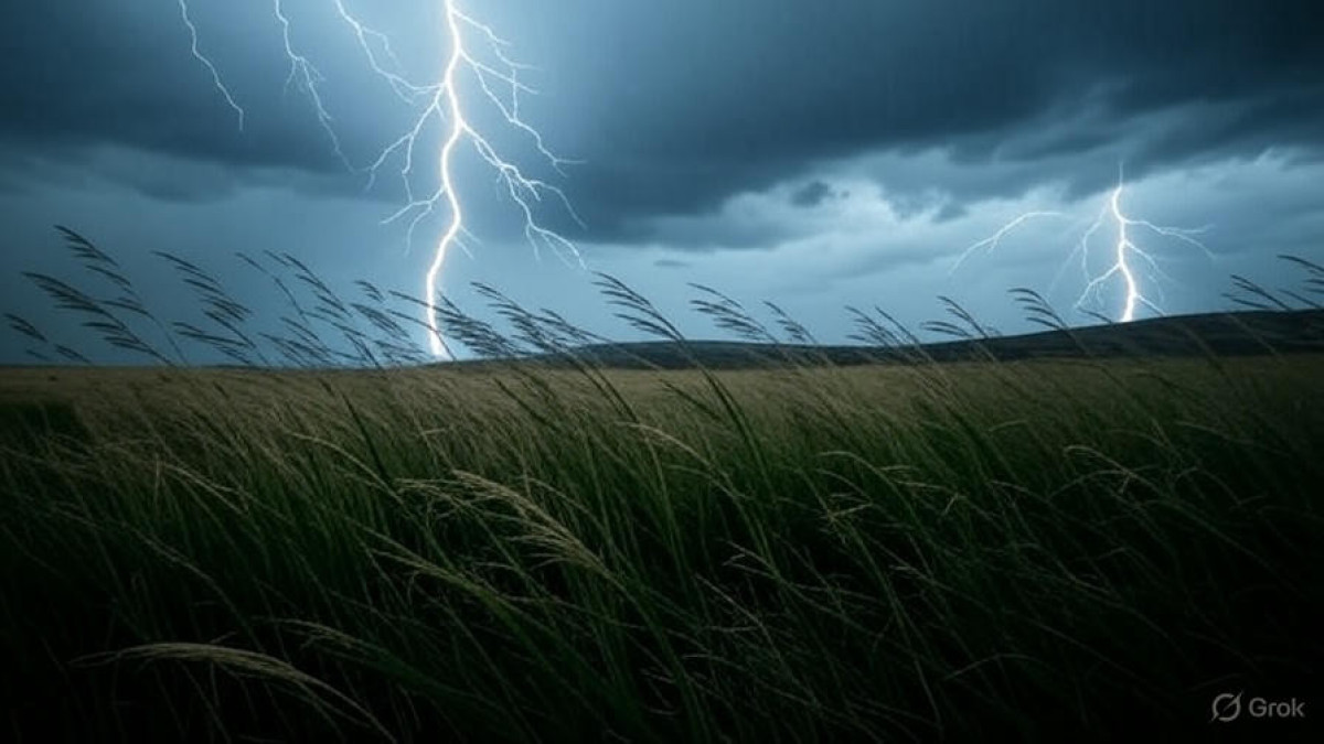  ©El.kz/Айгерим ЕСКЕНДИРОВА/Grok 