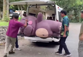 В костюме бегемота: сотрудники зоопарка отрабатывали побег животного