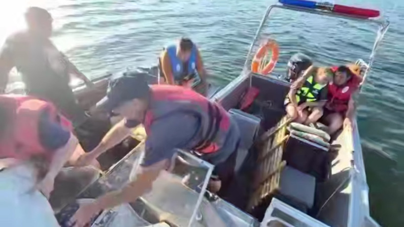  Видеодан кадр 