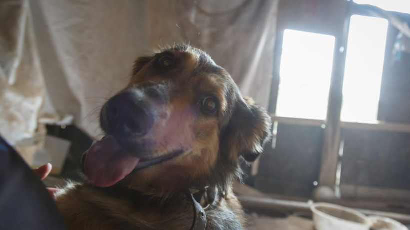  © El.kz / Артем ЧУРСИНОВ 