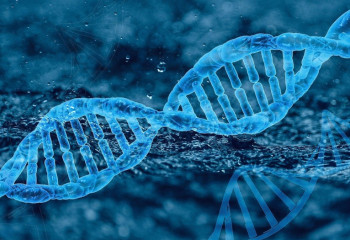 Дәрігерлер алғаш рет Даун синдромы бар науқастан артық хромосоманы алып тастады