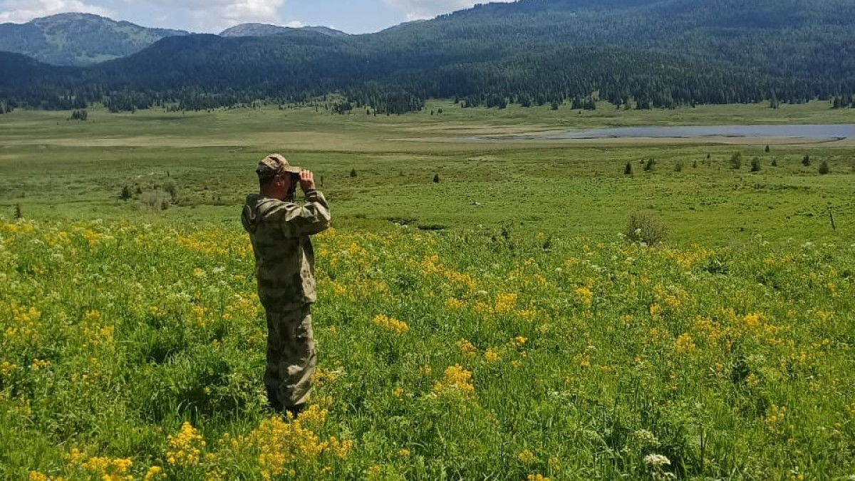  instagram.com/katonkaragay_nationalpark 