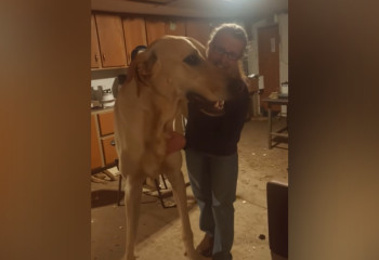 Тазы размером с человека показали в соцсетях