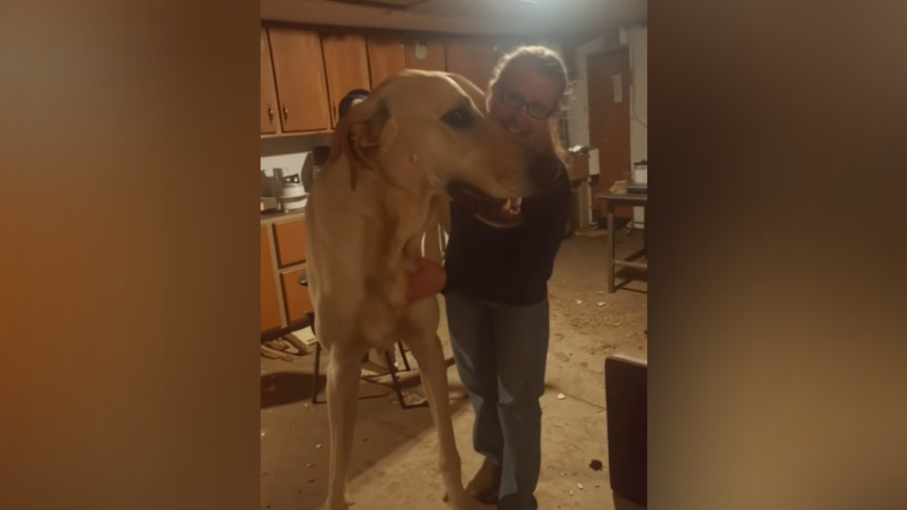  Скриншот видео 