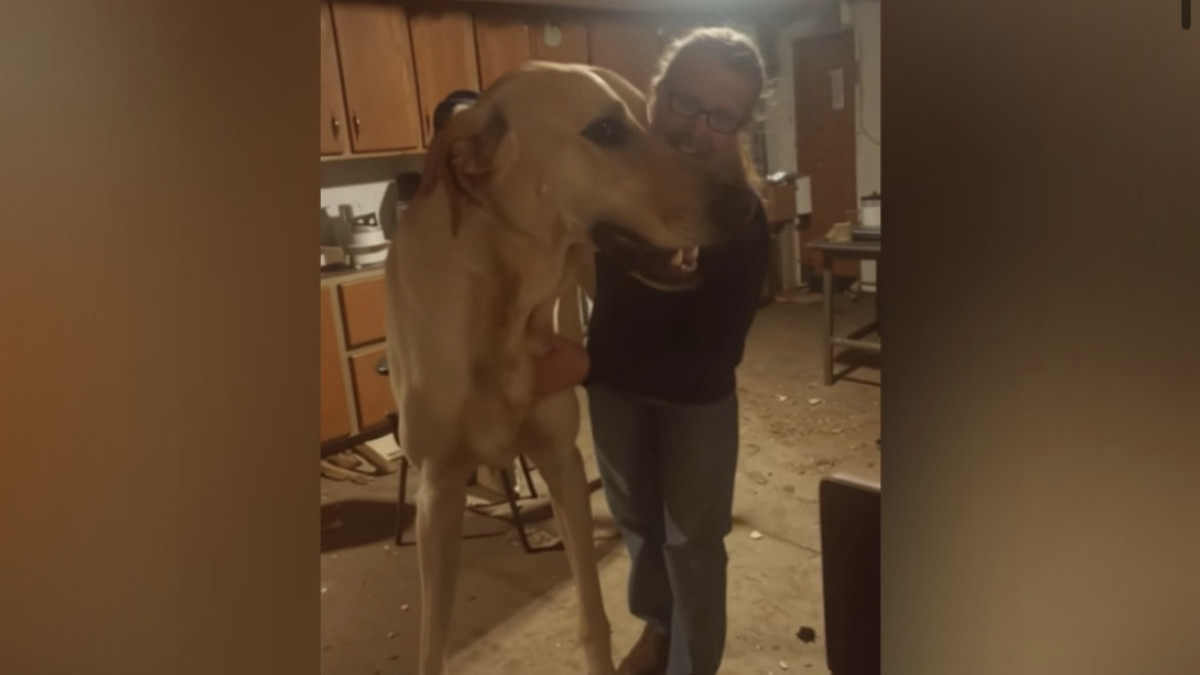  screenshot from video 