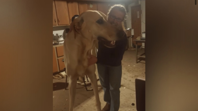  screenshot from video 