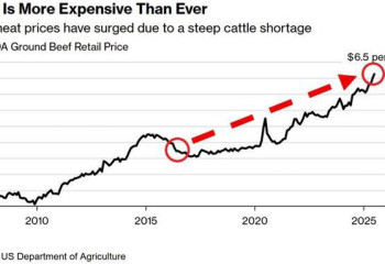 Цена на говядину в США достигла исторического максимума